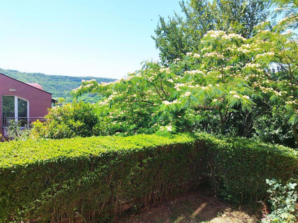 Green, Quiet And Beautiful 1 Apartment Cavarna Exterior foto
